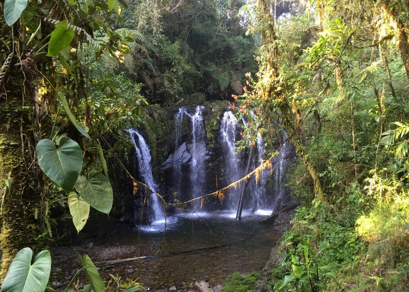 Biotopo del Quetzal